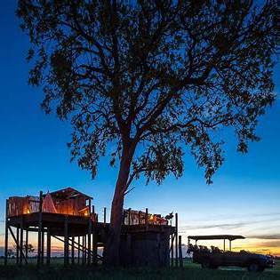 Linkwasha Camp