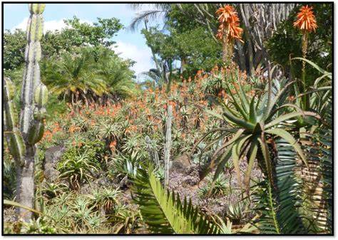 Ewanrigg botanical gardens